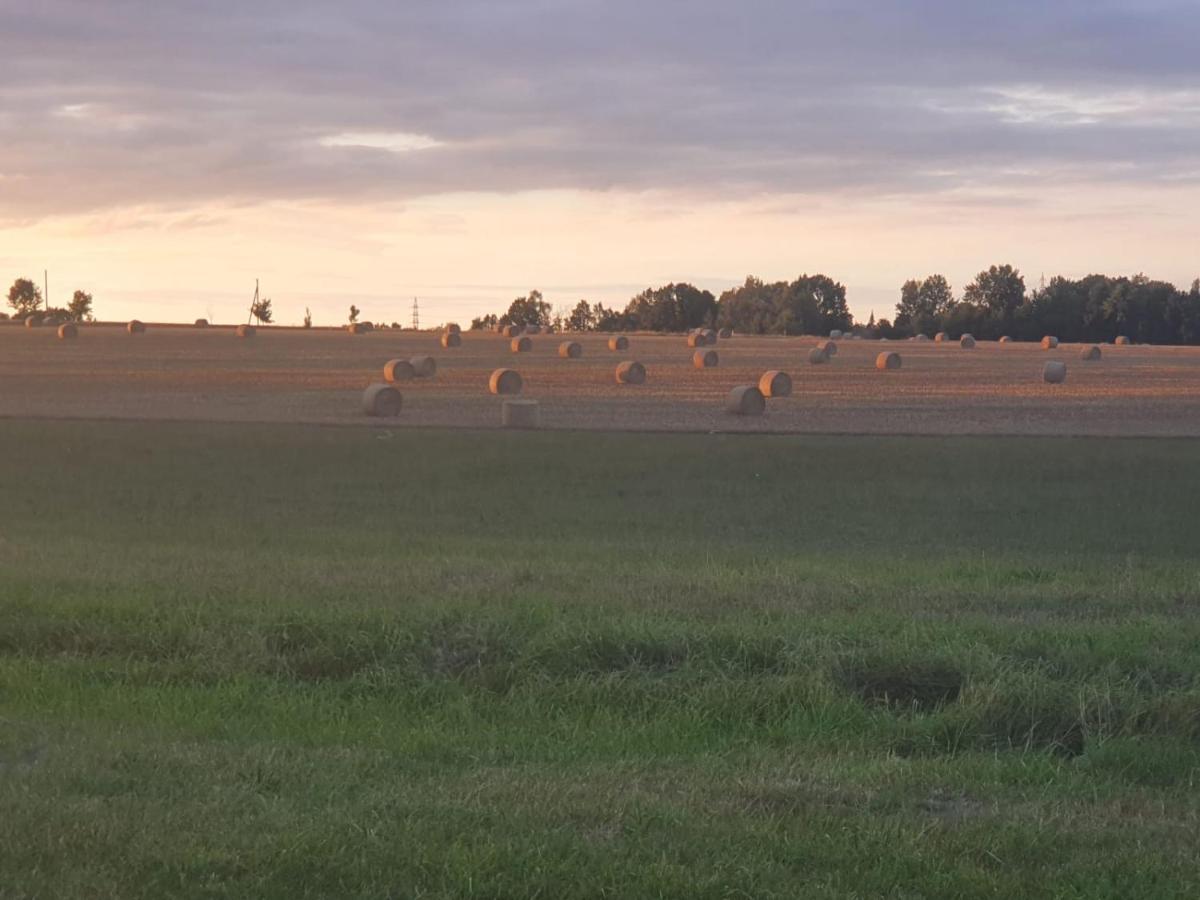 Anni'S Waldblick Appartement Burgstadt Buitenkant foto