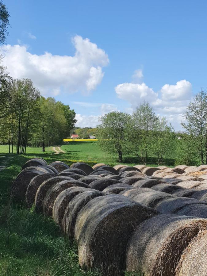 Anni'S Waldblick Appartement Burgstadt Buitenkant foto